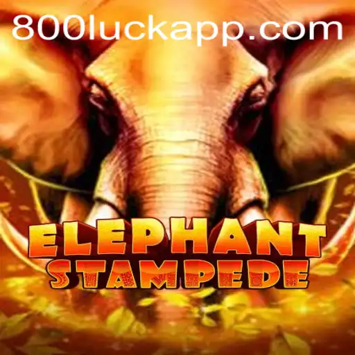 Embark on the Exciting Adventure of ElephantStampede