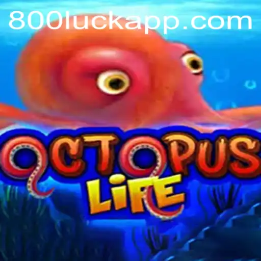 Exploring the Whale of an Adventure in OctopusLife